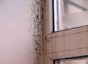 mold appears in the corners of the room, windows cry